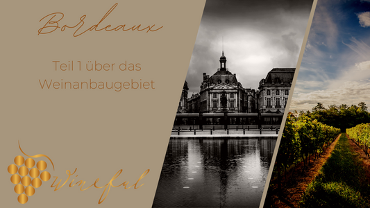 Weinanbaugebiet Bordeaux: Prestige-Weine aus dem Südwesten Frankreichs (Teil 1)