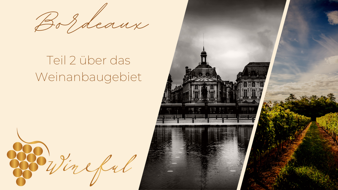 Weinanbaugebiet Bordeaux: Prestige-Weine aus dem Südwesten Frankreichs (Teil 2)