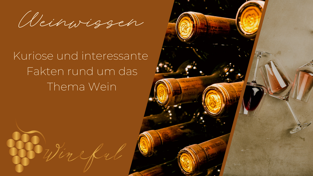 Weinwissen: Kuriose und interessante Fakten rund um das Thema Wein