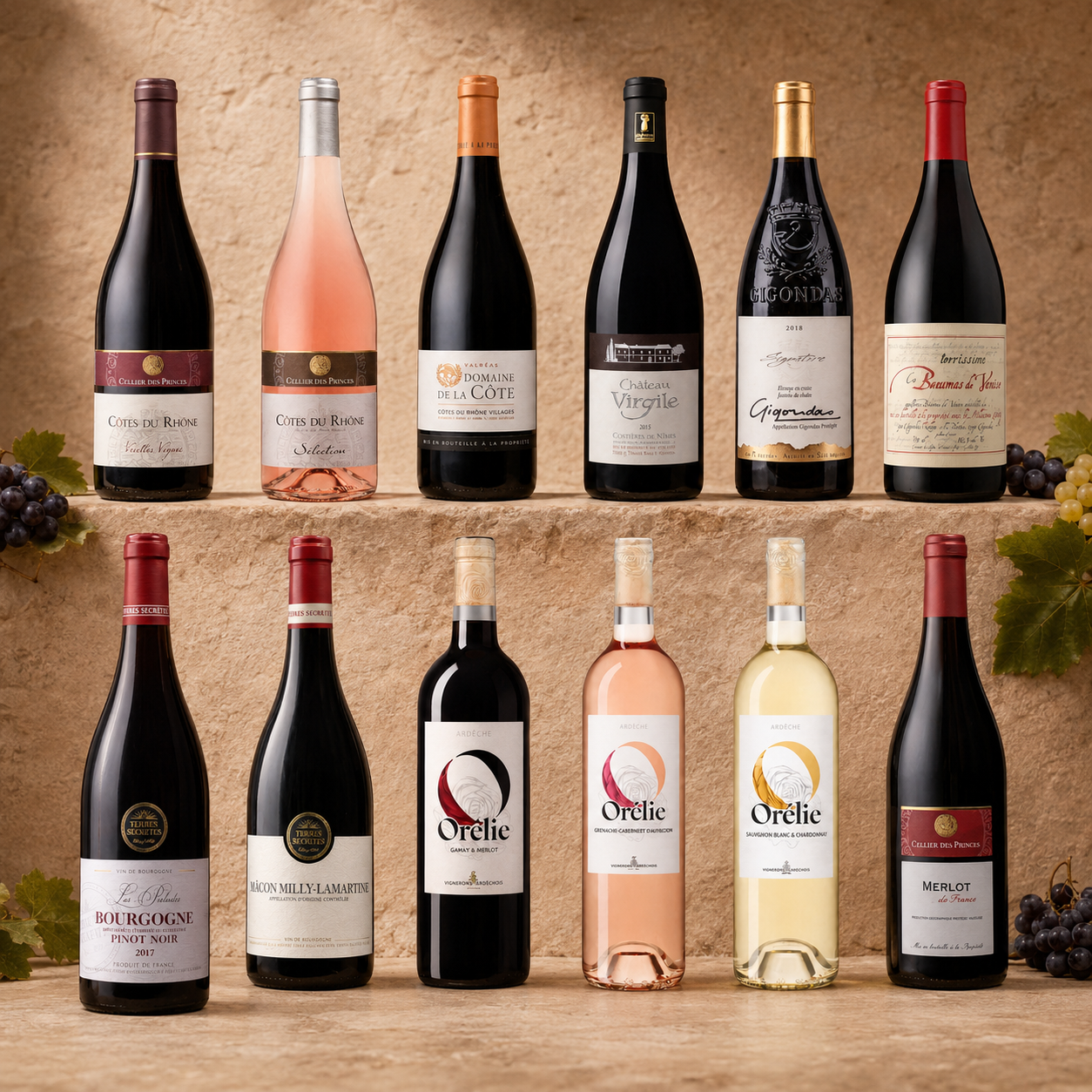 Frankreich Rhône & Burgund (12 Flaschen)